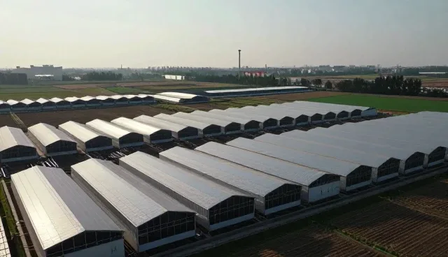 账号运营中性能差异与适用场景分析